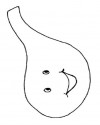 iç organlar (11)