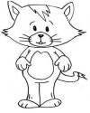 Kedi Hayvanlar Boyama (43)