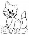 Kedi Hayvanlar Boyama (53)