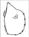 Kirpi Hayvanlar Boyama (158)