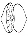limon