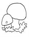 mantar