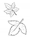mevsimler (181)