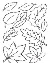 mevsimler (208)