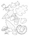 mevsimler (211)