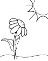 mevsimler (79)