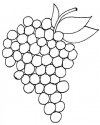 meyve sebze (110)
