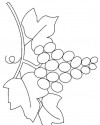 meyve sebze (127)