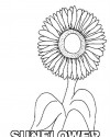 meyve sebze (47)