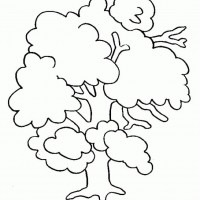  okul öncesınde boyama çalişması (1246)