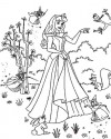 Sindirella Boyama  (13)