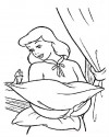Sindirella Boyama  (33)