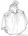 Sindirella Boyama  (51)
