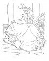 Sindirella Boyama  (60)