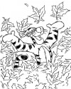 Winnie the Pooh Boyama (112)