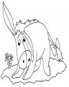 Winnie the Pooh Boyama (43)