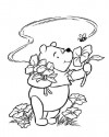 Winnie the Pooh Boyama (70)