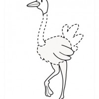 eğlenceli_çizgi_tamamlama_çalışmaları-12