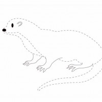 orman_hayvanları_çizgi_tamamlama_çalışmaları_kunduz