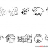 okul öncesi kavranlar (48)