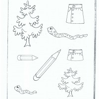 okul öncesi kavranlar (91)