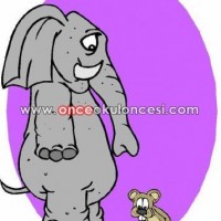 okul öncesinde kavramlar (220)