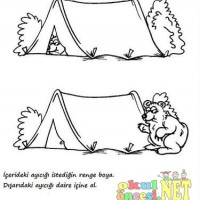 okul öncesinde kavramlar (401)