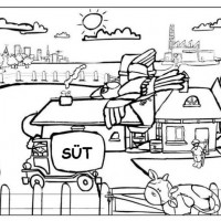 okul öncesınde kavramlar sayı çalışması çizgi çalişması geometrik çalışmalar (239)