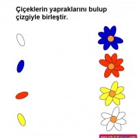 okul öncesınde  okuma yazma çalişması  (34)