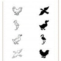 okul öncesınde  okuma yazma çalişması  (399)