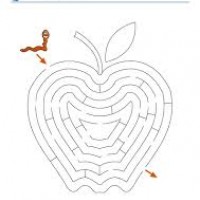 sayı kavramı,kare,sıcak  -soğuk ,sağlıklı  faydaları,yeni eski  (98)