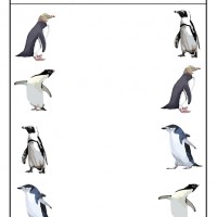 okul öncesinde kavramlar (762)