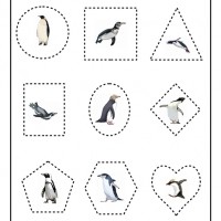 okul öncesinde kavramlar (782)