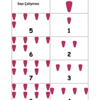 okul öncesinde kavramlar (862)