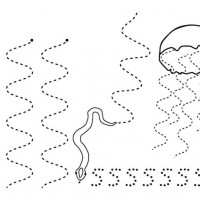okul öncesinde kavramlar (902)
