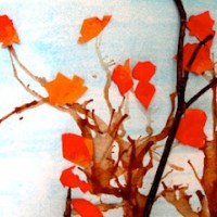 artık materyal  (173)