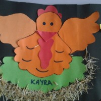 proje çalişması  (63)