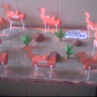 proje çalişması  (68)