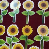 okul öncesinde kağit işleri (1064)