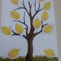 okul öncesinde kağit işleri (914)