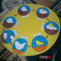 kağit işleri,sınıf süsü ,gelişim raporu ,atatürk haftası (167)