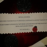 atatürk köşesi ,gelişim dosyası süslemesı .maske kağit işleri,sınıf süsleri ,artık materyal (395)