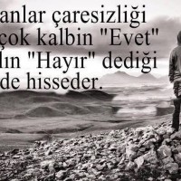 okul öncesinde gelişim raporu süsleme örneği (336)
