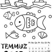 2018 takvım  (12)