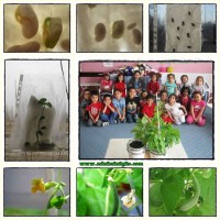 artık materyal ,okuma yazma çalişması ,kağit işleri,sulu boya çalişması (358)