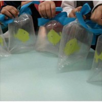 artık materyal ,okuma yazma çalişması ,kağit işleri,sulu boya çalişması (446)