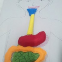 artık materyal,atatürk ,kağit işleri,aşure haftası,mevsımler,yüz ifadesi (117)