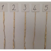 artık materyal,atatürk ,kağit işleri,aşure haftası,mevsımler,yüz ifadesi (1330).JPG