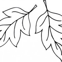 artık materyal,atatürk ,kağit işleri,aşure haftası,mevsımler,yüz ifadesi (1360)