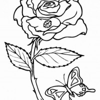 artık materyal,atatürk ,kağit işleri,aşure haftası,mevsımler,yüz ifadesi (1363)